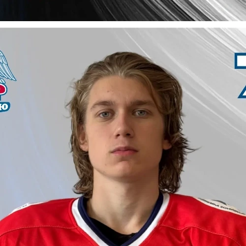 Fomin Andrei Vasilevich
