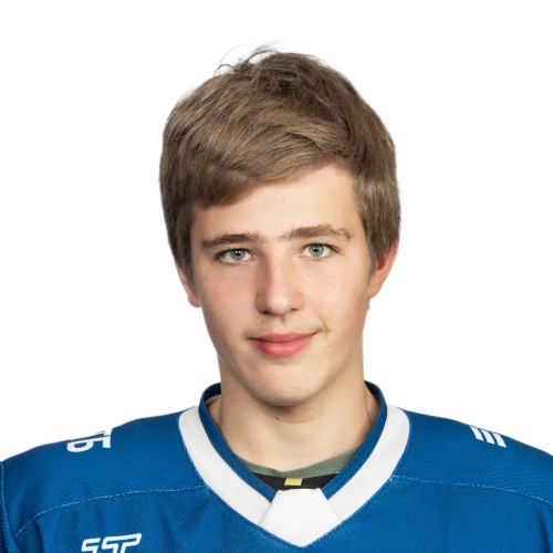 Vasilenko Artem Evgenevich