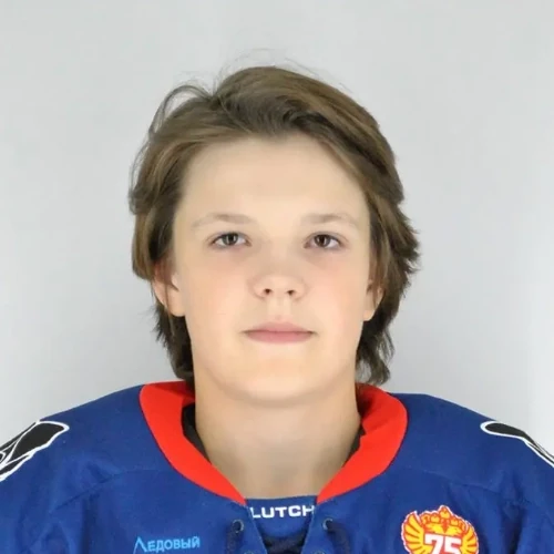 Domrychev Artem Sergeevich