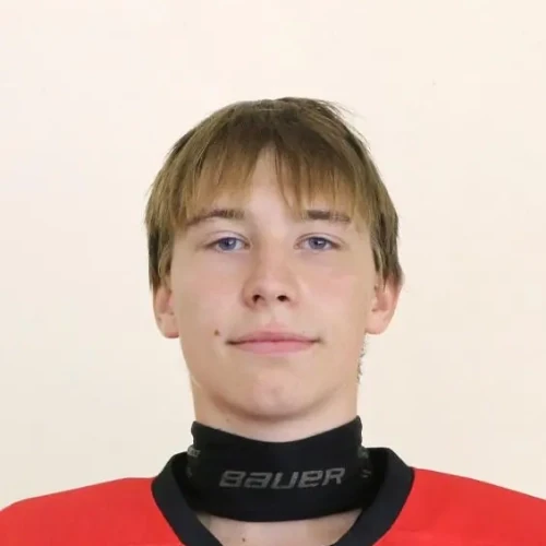 Kostarev Matvei Vyacheslavovich