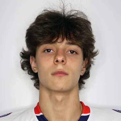 Sanin Daniil