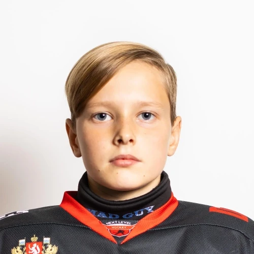 Zubov Dmitrii Aleksandrovich
