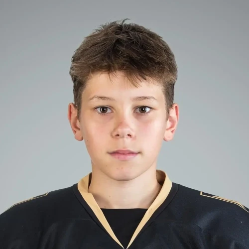 Shevchuk Stepan Olegovich