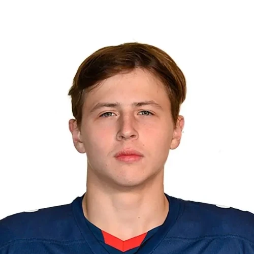 Lekomtsev Arsenii Denisovich
