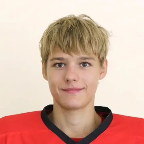 Zanin Ilya Vyacheslavovich
