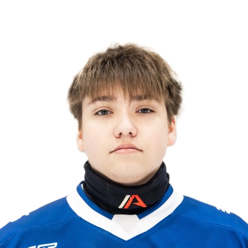 Vikulov Aleksandr Stanislavovich