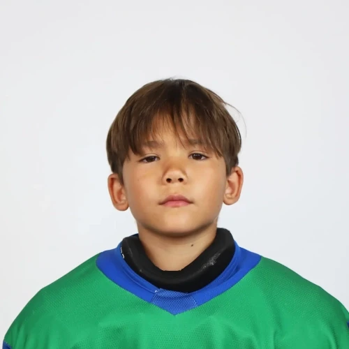 Shaihullin Radel Ruslanovich