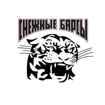 Сн Барсы 16