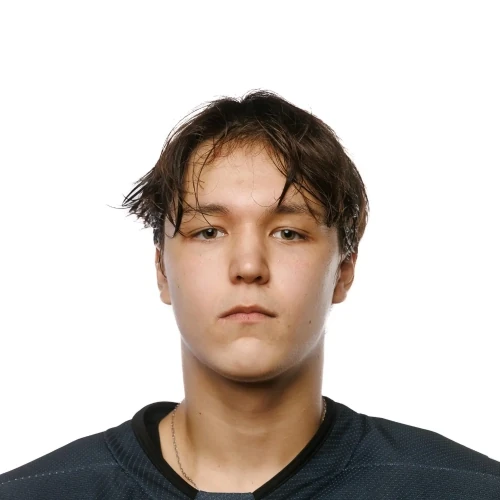 Safin Deniel Emilevich