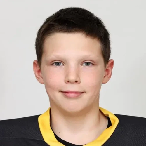 Tyutyunov Artem Sergeevich