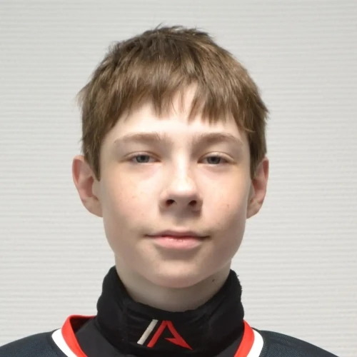 Gaivoronskii Vladimir Sergeevich