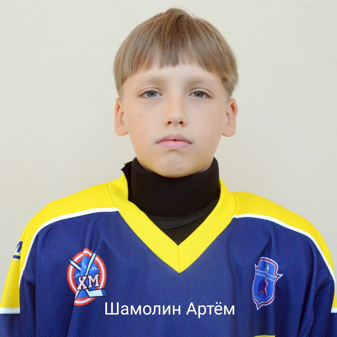 Shamolin Artem