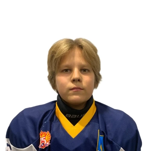 Nikulin Matvei Andreevich