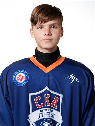 Sadovnikov Vladimir Vladimirovich