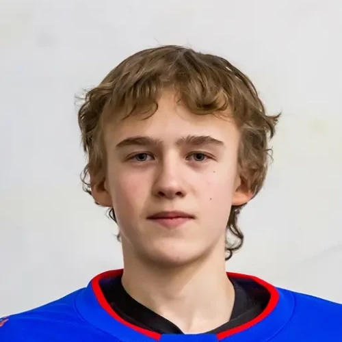 Veselov Mark Viktorovich