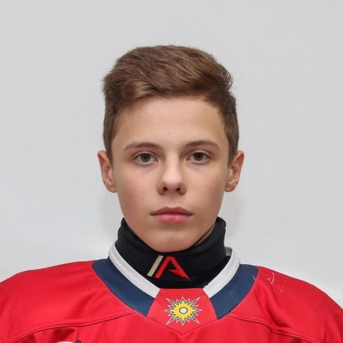 Arzenyaev Nikita Vladimirovich