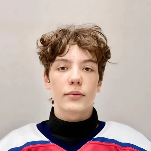 Cherepanov Daniil Nikitich