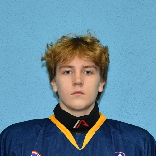 Ibragimov Vladislav Vadimovich