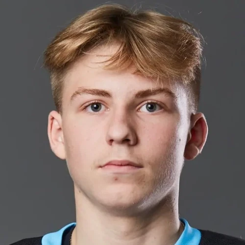 Shishpor Gleb Aleksandrovich