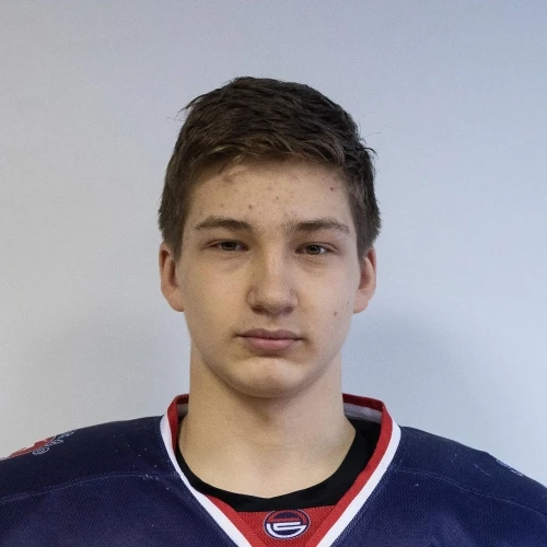 Zemlyanikin Vladimir Aleksandrovich