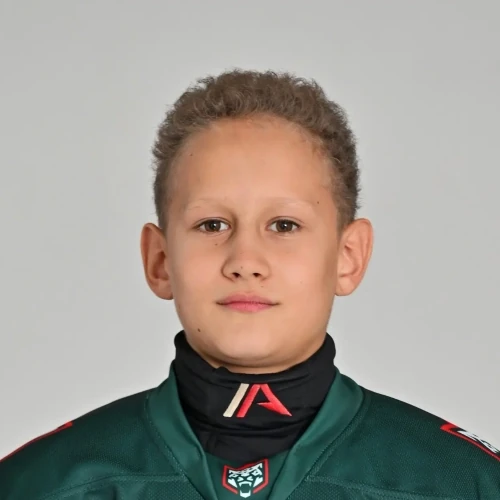Ibatullin Amir Ilnarovich