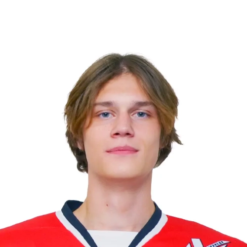Fokin Ilya Mihailovich