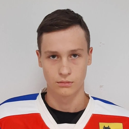 Puzin Vladislav Olegovich