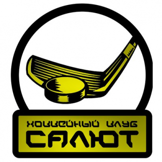 Salyut 2009-2010