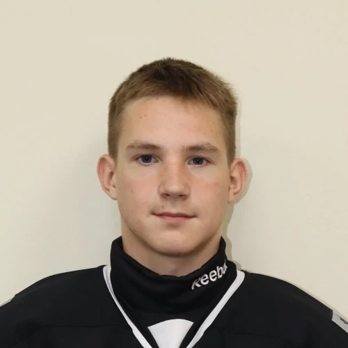 Deminskii Yaroslav Vladimirovich
