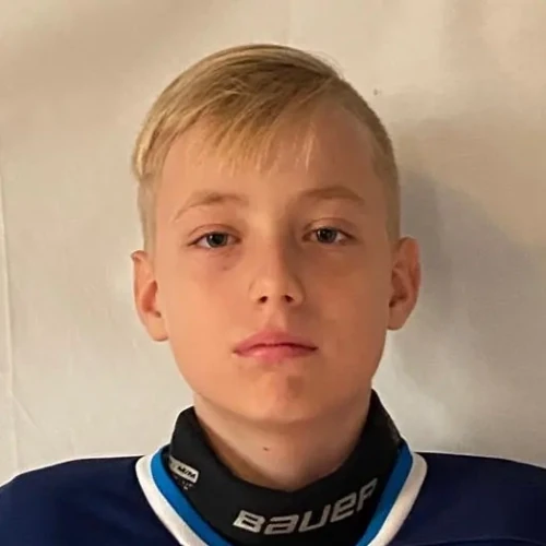 Lebedev Petr Ilich