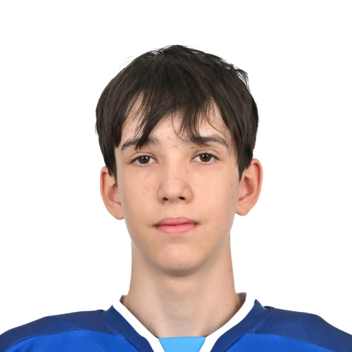 Sokolov Vladimir Dmitrievich
