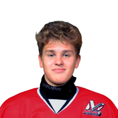 Litvinov Stepan Mihailovich