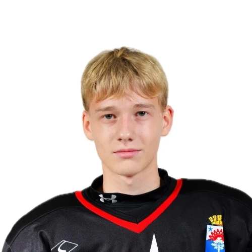 Kulikov Aleksandr Nikolaevich