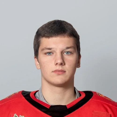 Tokmakov Dmitrii Sergeevich