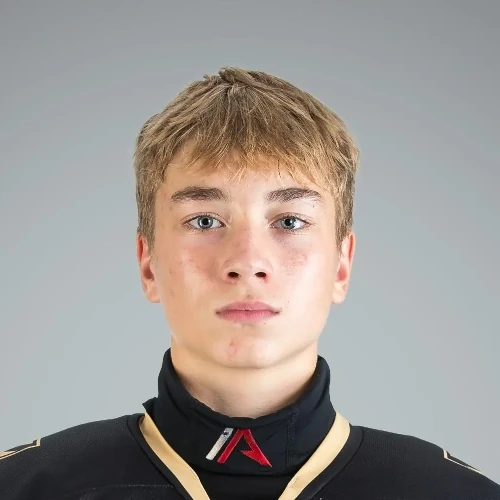 Serebryakov Aleksandr Olegovich