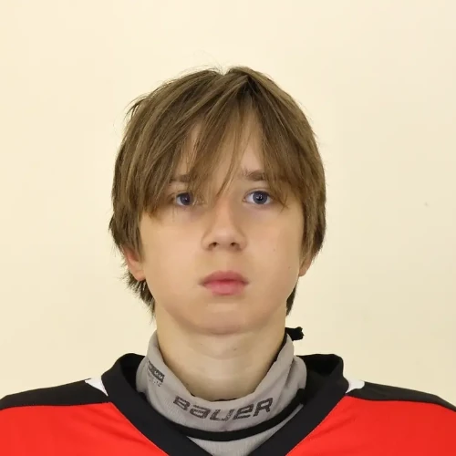 Gorohov Fedor Denisovich