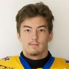 Kolobuhov Artem Olegovich