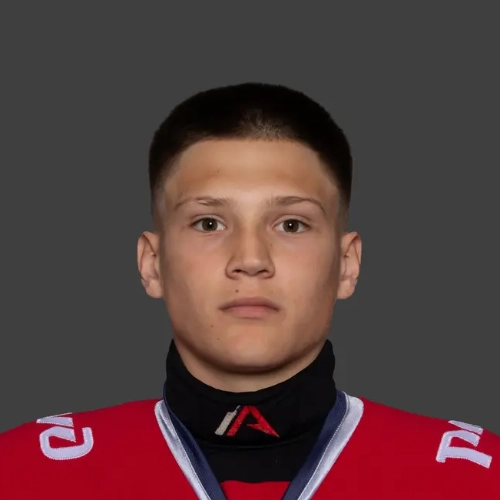Колесников Николай Дмитриевич