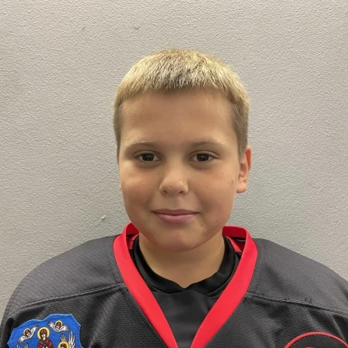 Brigi Aleksei Denisovich