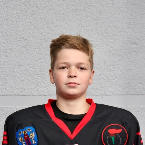 Podorovskii Mihail Sergeevich