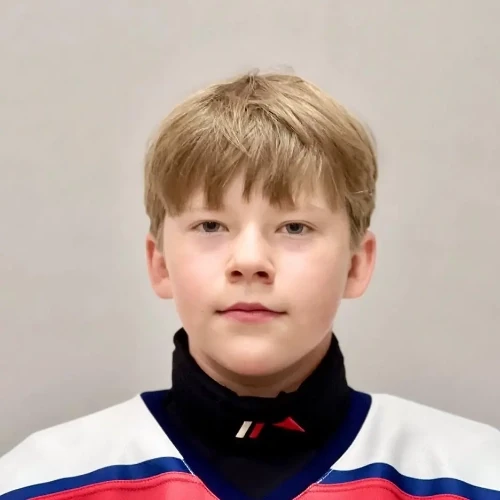 Bezuglov Artem Dmitrievich