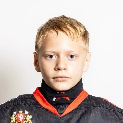 Zarodin Roman Mihailovich