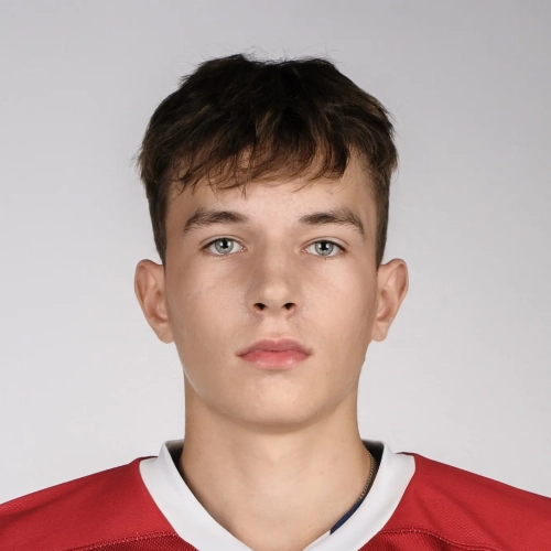 Чугреев Максим Сергеевич