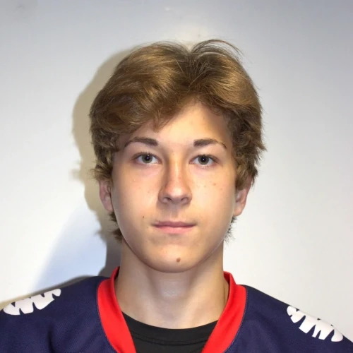 Nelyubov Makar Andreevich