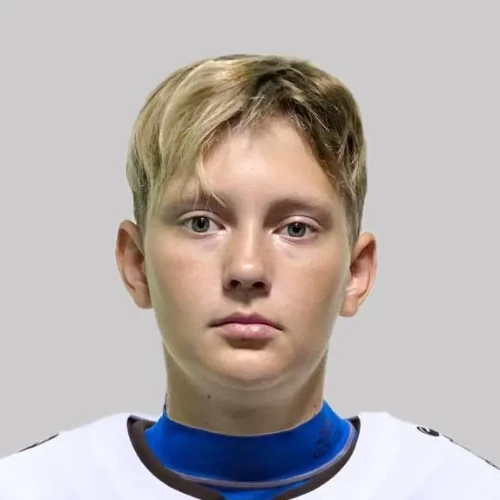 Podgornov Yaroslav Viktorovich