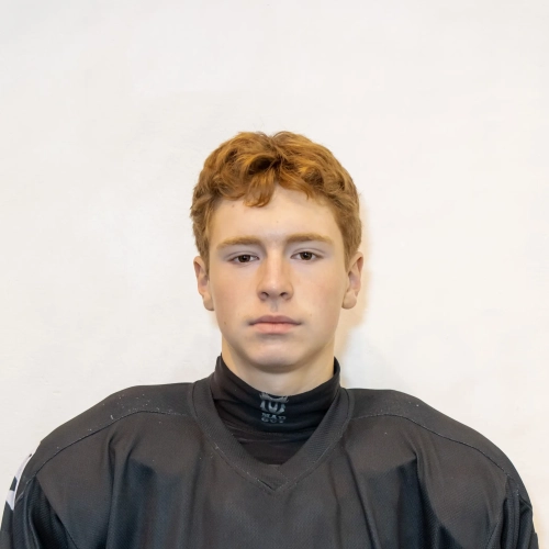 Petrov Denis Ivanovich