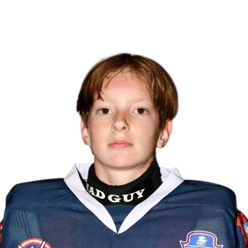 Rogovik Yaroslav Kirillovich