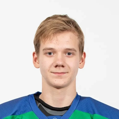 Merkulov Artem Andreevich