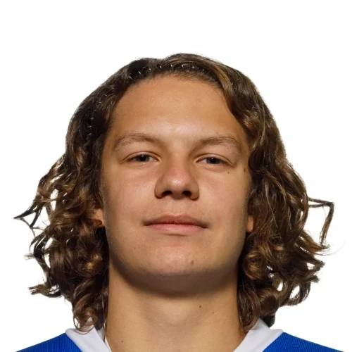 Litvinenko Stepan Vitalevich