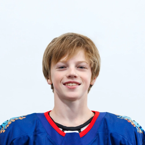 Veselov Artem Alekseevich